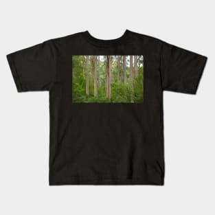 Many tall gum trees in Otway National Park. Kids T-Shirt